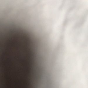 Meet your Posher, Samara